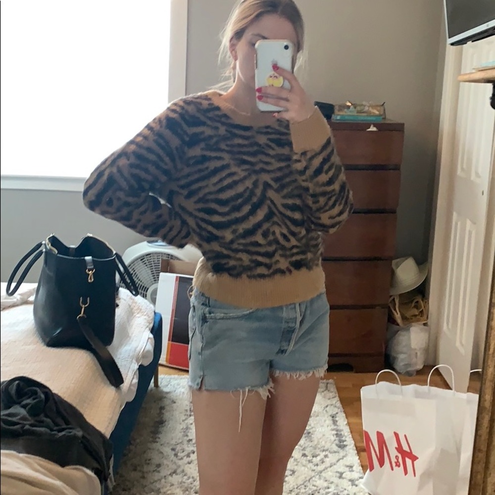 HM Zebra Print Sweater